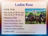 ROSE_Ludim